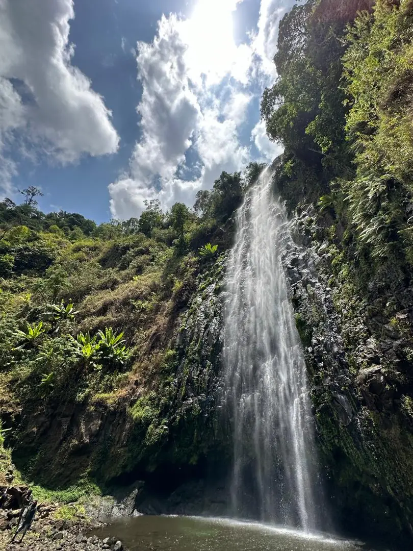 Materuni Falls dropping eighty metres into its green pool under a bright sky