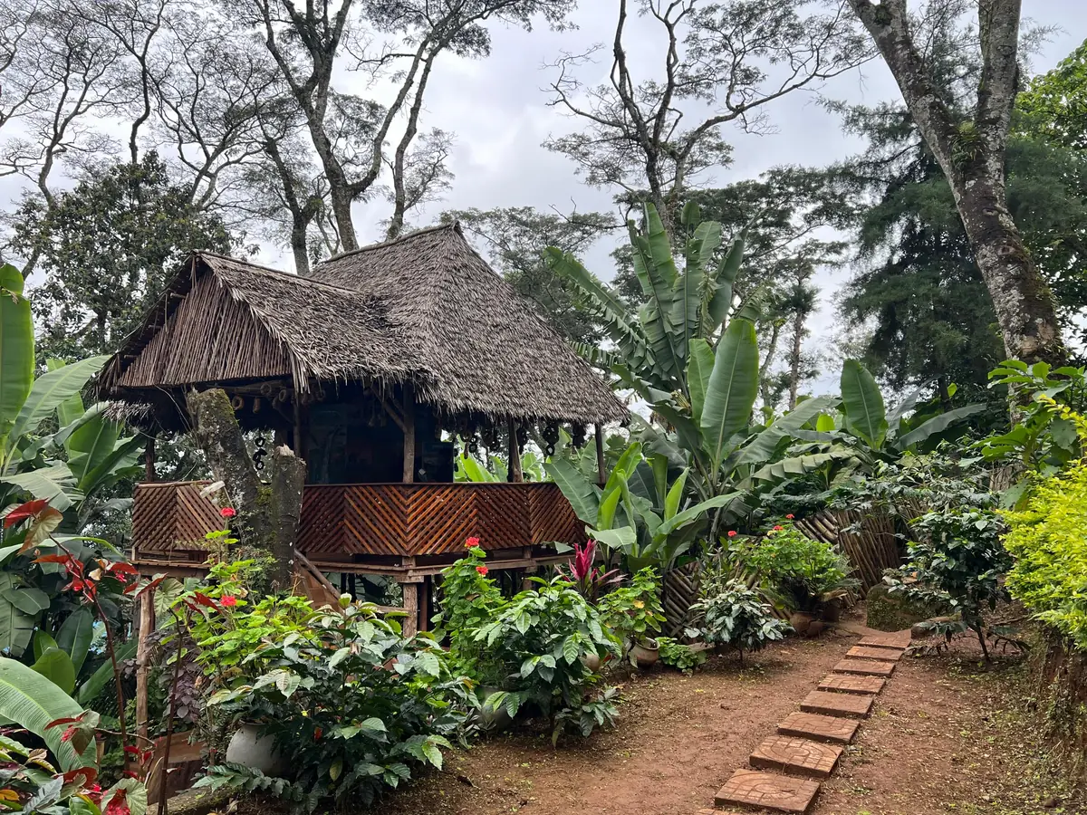 A raised wooden pavilion with a thatched roof and carved railings, reached by a brick path through the garden