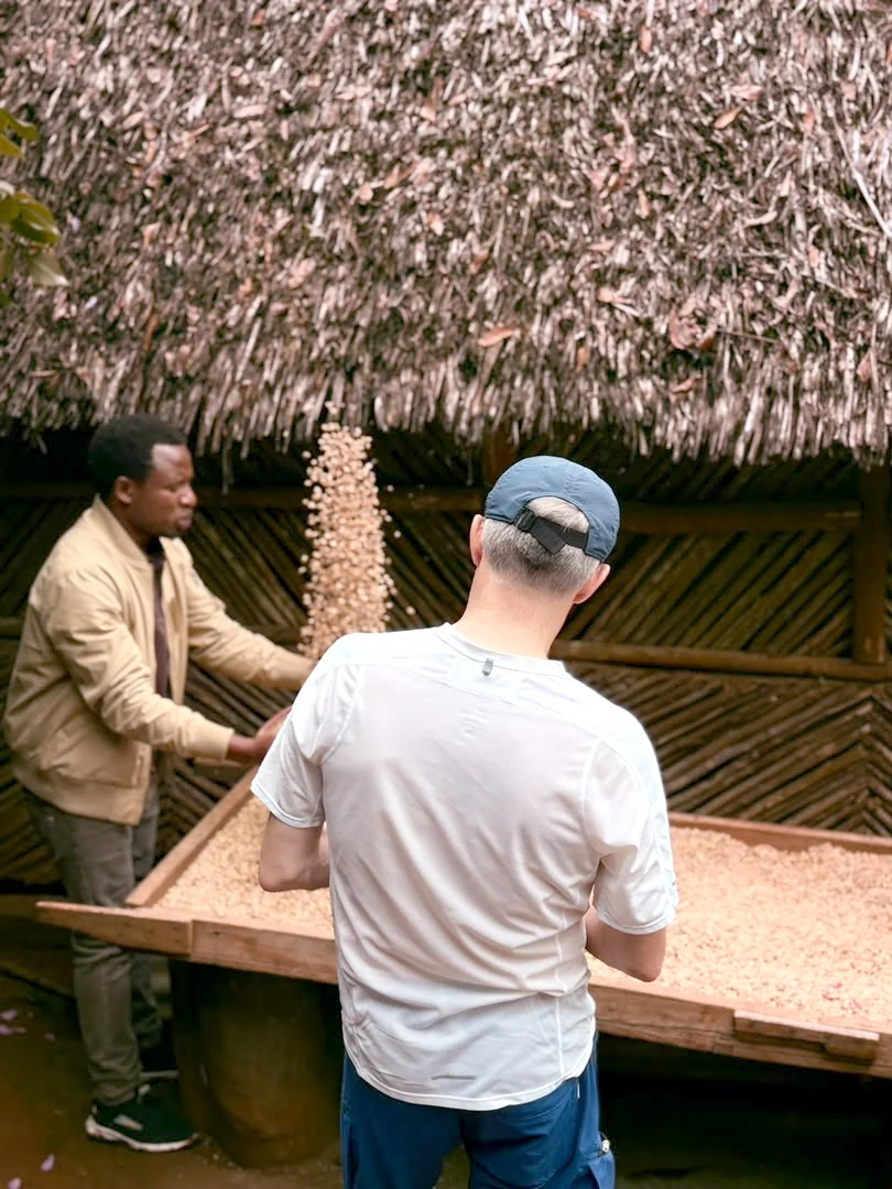Justin spreading parchment coffee across the raised drying bed while a guest watches
