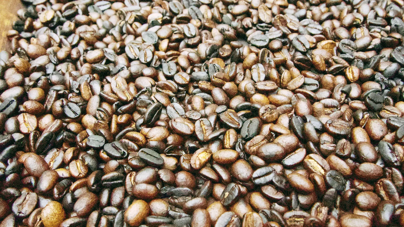 A tray of freshly roasted Materuni beans still warm from the wood fire