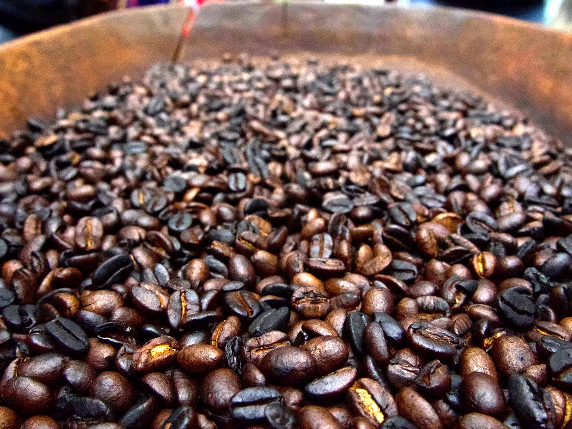 Dark roasted Materuni beans cooling in the wide wooden tray