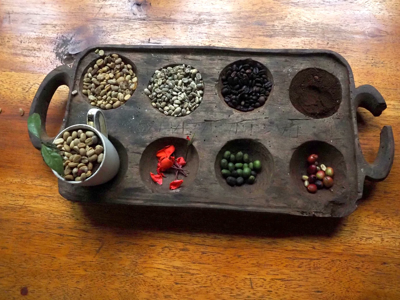 A carved tray holding coffee at every stage, from red cherry through green bean to fresh grounds